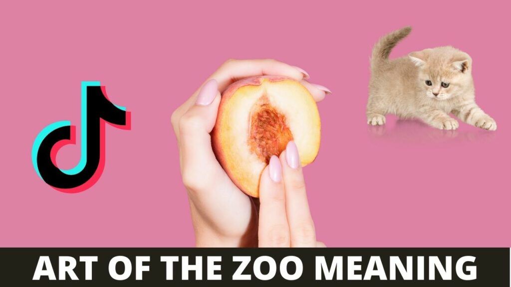 Art of the Zoo Meaning: Why This is Trending on Tiktok in 2021?