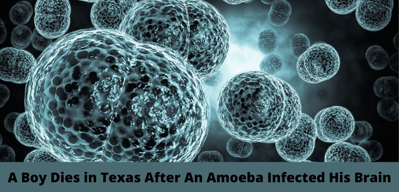 A Boy Dies in Texas After An Amoeba Infected His Brain