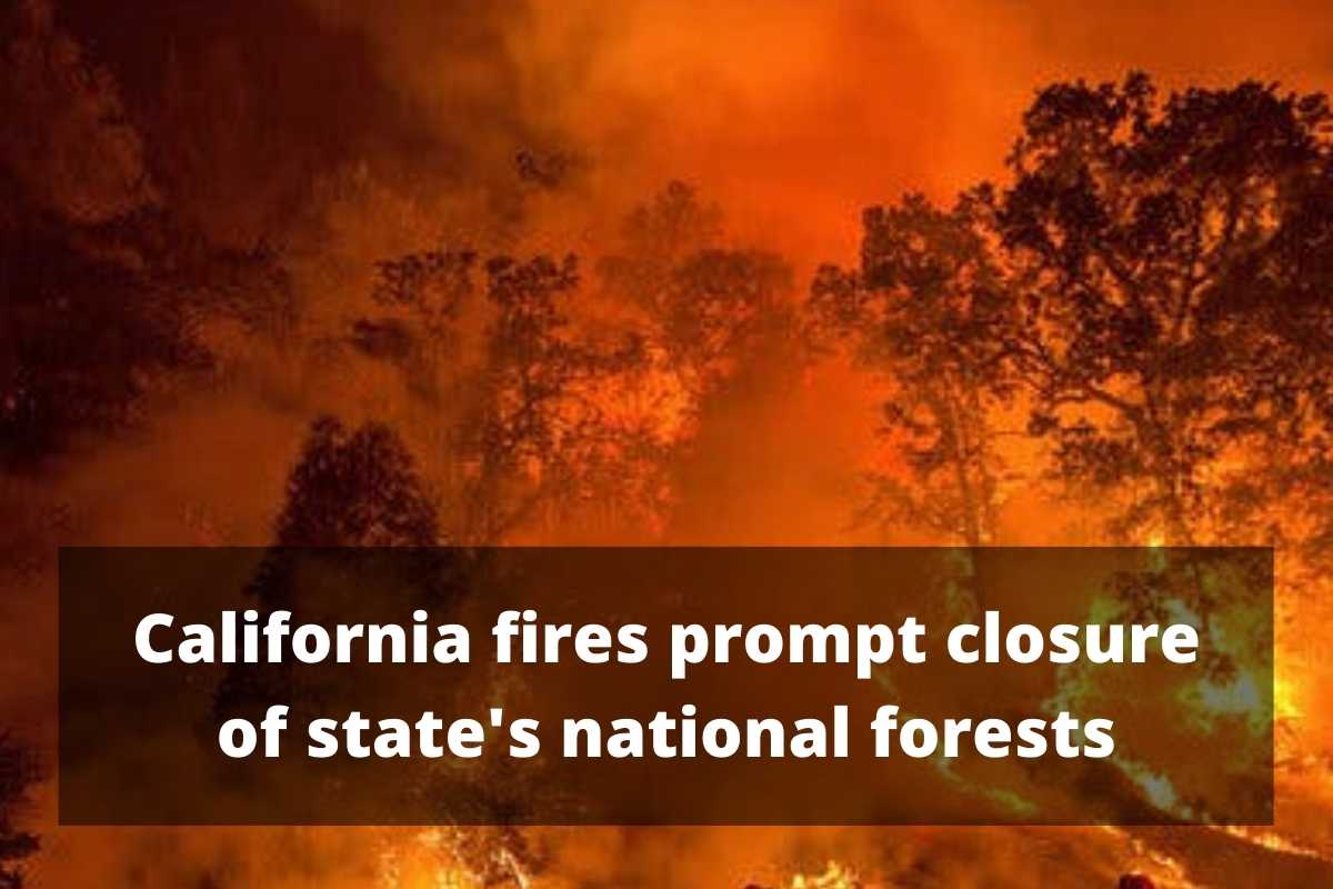 California fires prompt closure of state's national forests