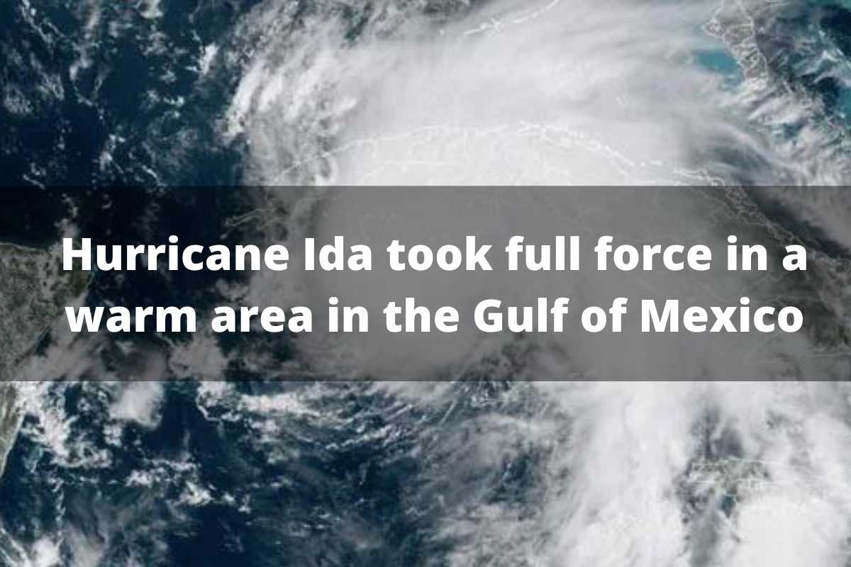 Hurricane Ida took full force in a warm area in the Gulf of Mexico