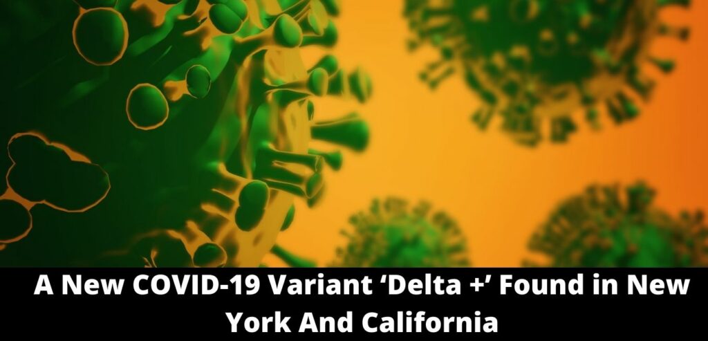 A New COVID-19 Variant ‘Delta +’ Found in New York And California
