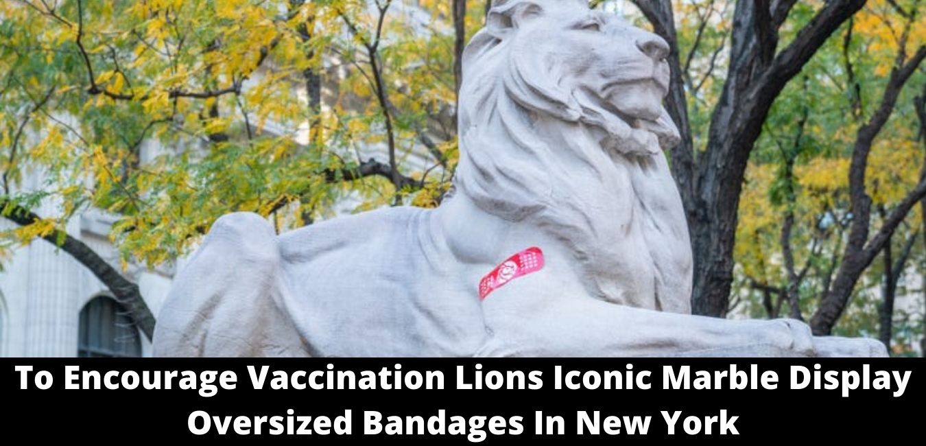 To Encourage Vaccination Lions Iconic Marble Display Oversized Bandages In New York