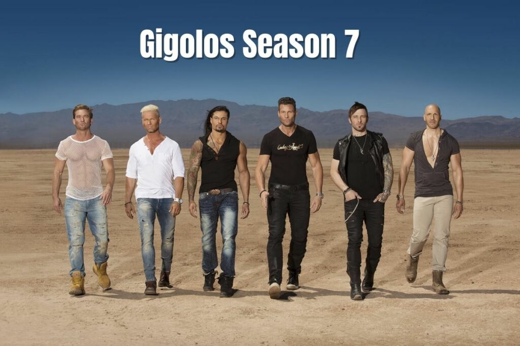 Gigolos Season 7