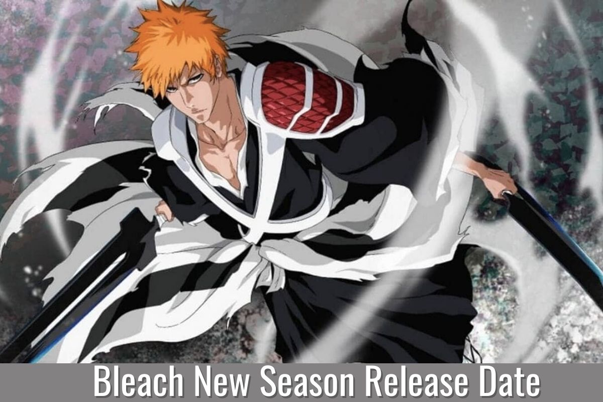 Bleach New Season Release Date Status