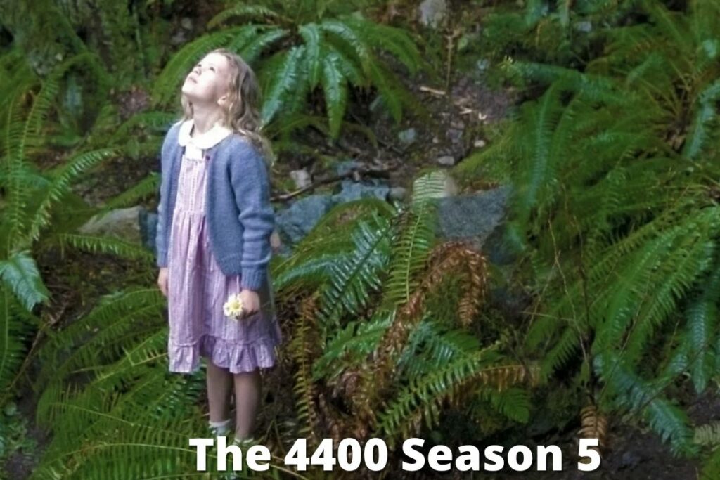 the 4400 season 5