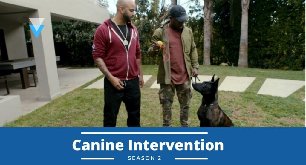 Canine Intervention Season 2