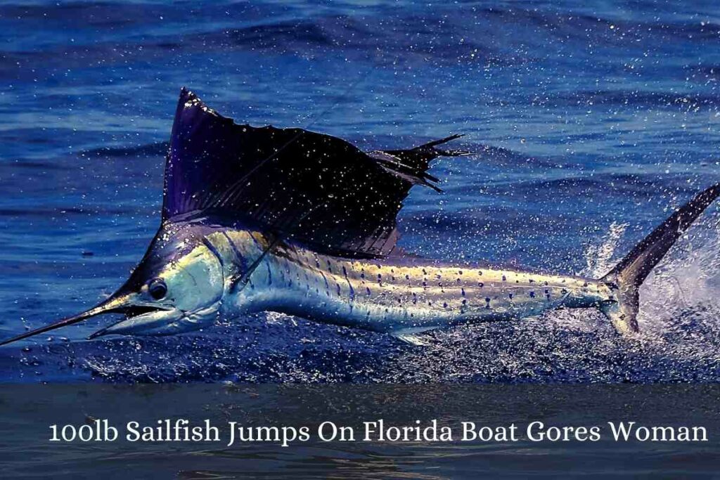100lb Sailfish Jumps On Florida Boat Gores Woman