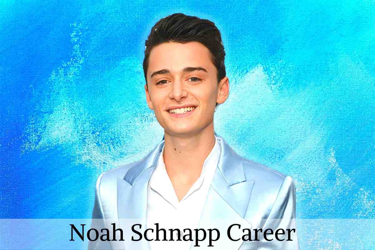 Noah Schnapp Career