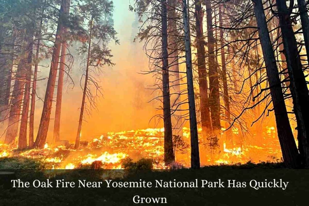 The Oak Fire Near Yosemite National Park Has Quickly Grown
