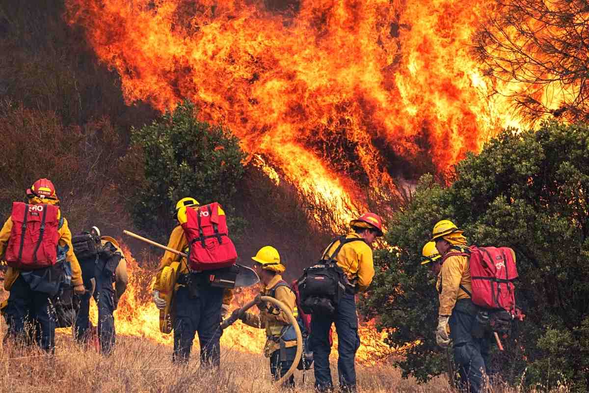 The Oak Fire burns through trees Sunday near Jerseydale, California
