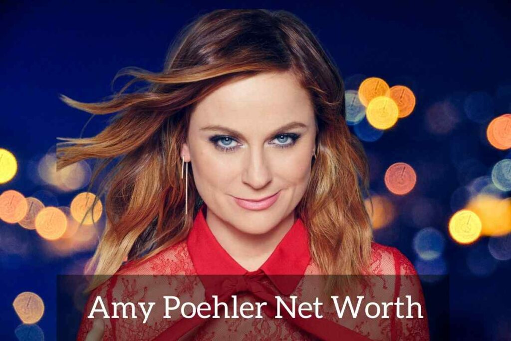 Amy Poehler Net Worth