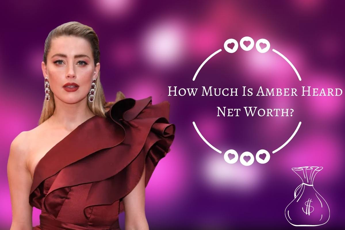 How Much Is Amber Heard Net Worth