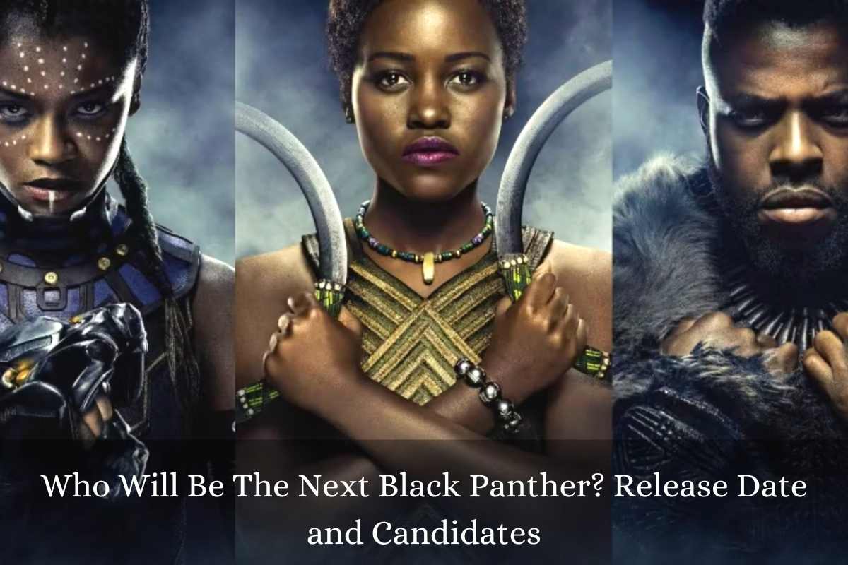 Who Will Be The Next Black Panther Release Date Status and Candidates?