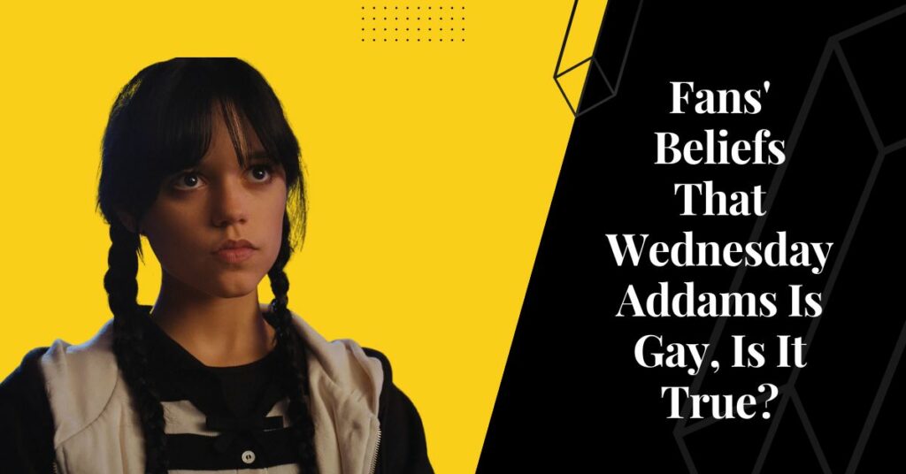 Fans' Beliefs That Wednesday Addams Is Gay, Is It True?