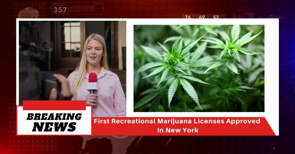First Recreational Marijuana Licenses Approved In New YorkFirst Recreational Marijuana Licenses Approved In New York