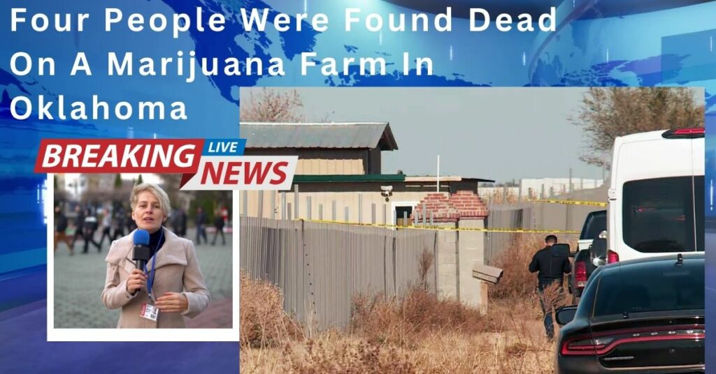 Four People Were Found Dead On A Marijuana Farm In Oklahoma