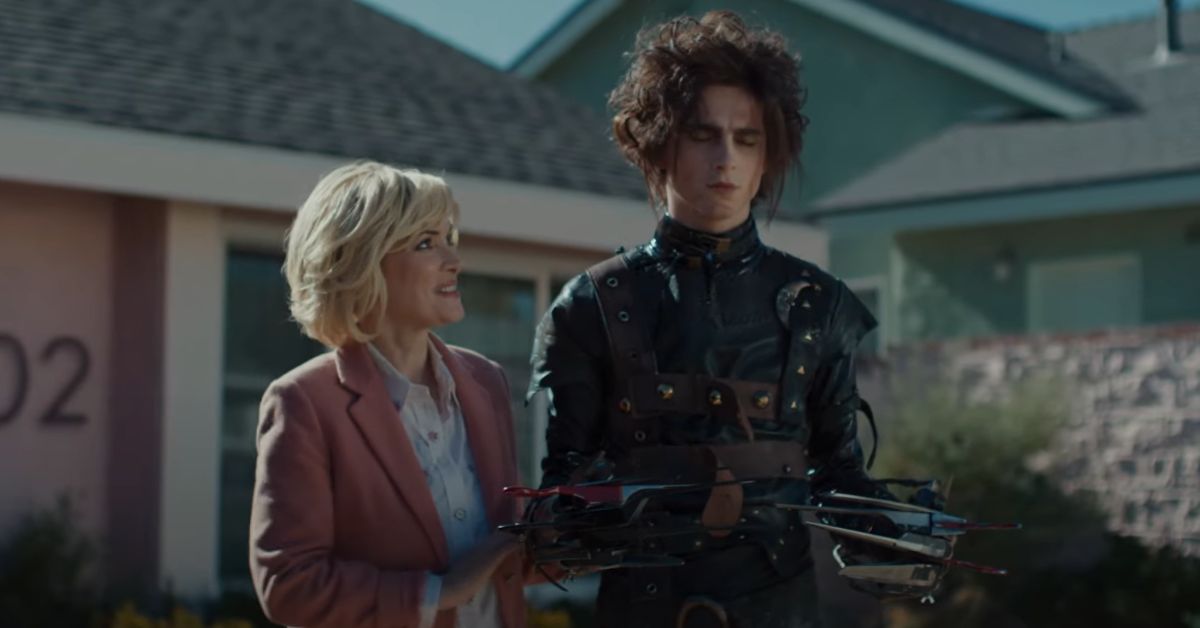 Is Timothee Chalamet Really Making A Sequel To Edward Scissorhands?