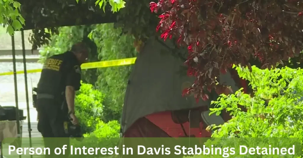 Person of Interest in Davis Stabbings Detained