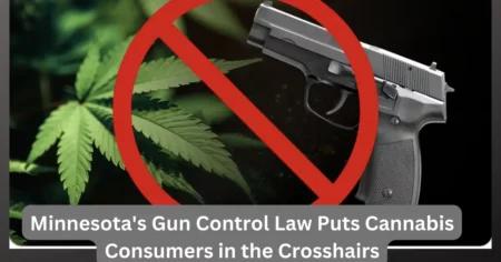 Minnesota's Gun Control Law Puts Cannabis Consumers in the Crosshairs