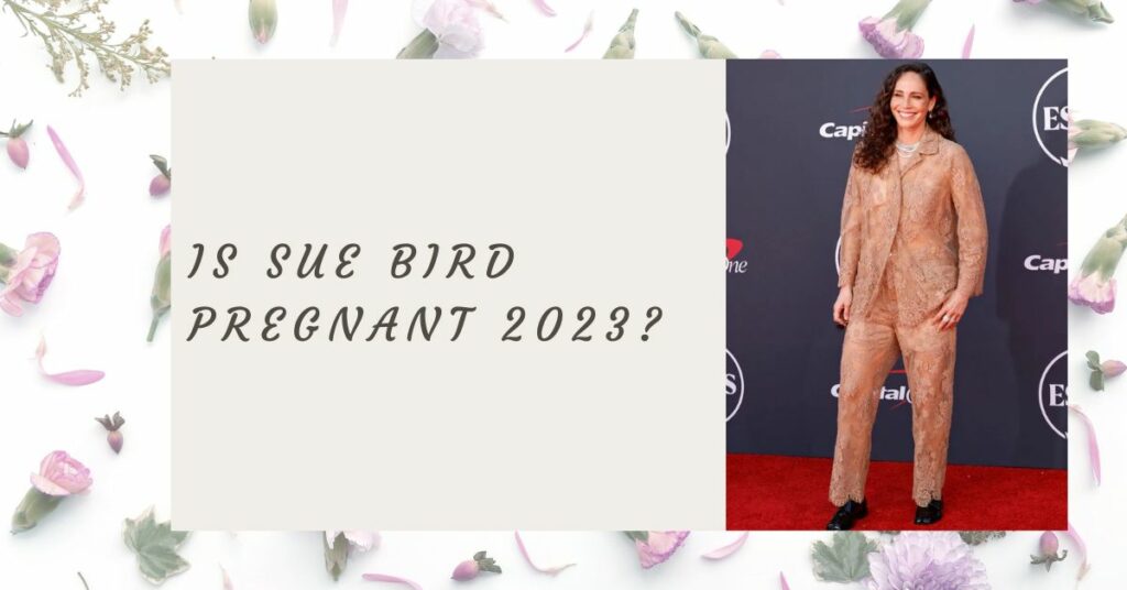 Is Sue Bird Pregnant 2023